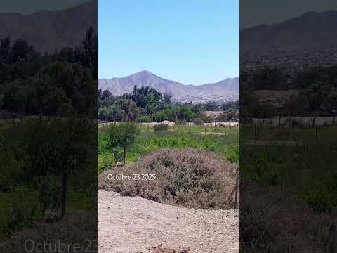 Av Diego de Almagro (parte 1)