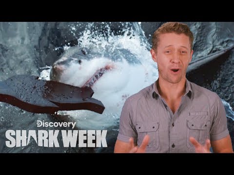 A New Great White Discovery | Shark Week's The Daily Bite