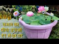 Secret way to grow lotus plant in one rupee how to grow lotus at home in the plastic material