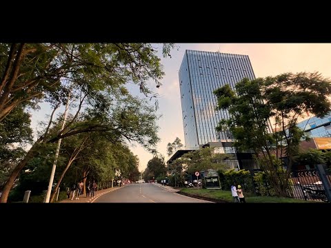 MC Mahoni Boni - IMIRIMO (Official Music)