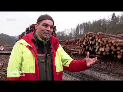 WDR Lokalzeit Südwestfalen 26.01.2022