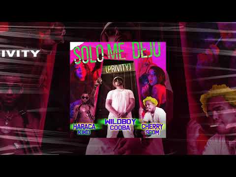 @WildBoyCooba x @ElCherryScomRD x @haracakiko - Solo Me Dejó (Privity) | Visualizer