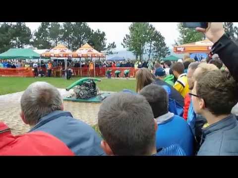 DHZ Zbora   SSP 2015