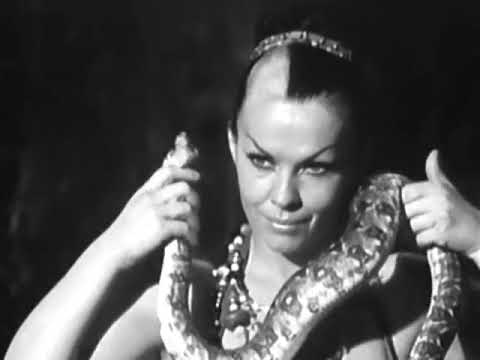 08March1973 "The Snake" - Oscar Brown Jr. (substitute video from 1963)