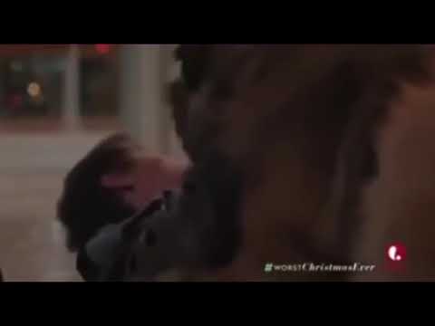 Grumpy Cat’s Worst Christmas Ever Jo Jo licking scene