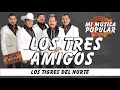 Los Tres Amigos - Los Tigres Del Norte - Con Letra (Video Lyric)