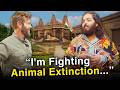 Meet the Billionaire That Built The World’s Largest Animal Rescue (Anant Ambani) DEFAULT Thumbnail