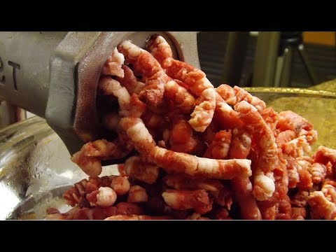 download lagu mp3 mp4 Making Wild Hog Sausage, download lagu Making Wild Hog Sausage gratis, unduh video klip Making Wild Hog Sausage