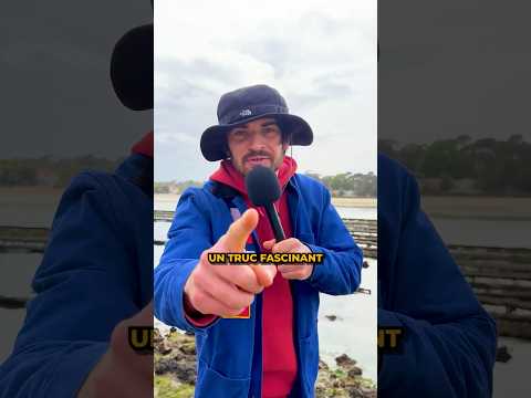 Tu te coucheras moins bête !