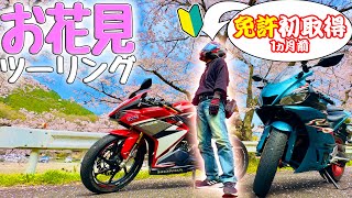 【父登場】二輪免許取り立てペーパードライバーの父と行く岡山お花見ツーリング【CBR250RR】