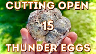 Exposing Thunder Egg cores with saw!