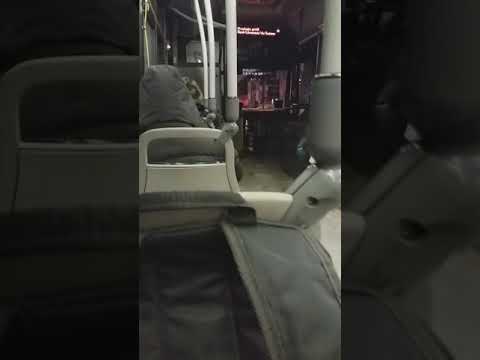 Como é o ônibus STM em Montreal?