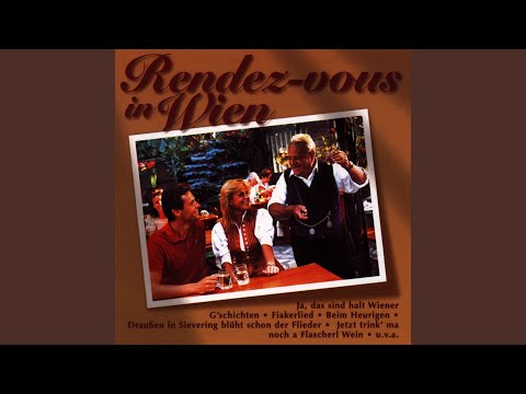 Nachtschwärmer-Walzer op. 466