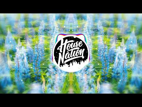 Cassö x RAYE x D-Block Europe – Prada