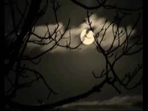 Schoenberg: “La Noche Transfigurada” (versión para orquesta de cuerdas/Karajan)