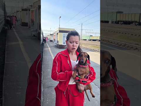 Soni Is Going To Play With Pillu and Chunnu Also 😝😀☺️