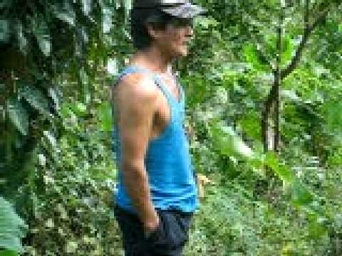 Nasa hustong gulang na manipis na sa gym Isang linggo bago ang Bagong Taon upang mawalan ng timbang