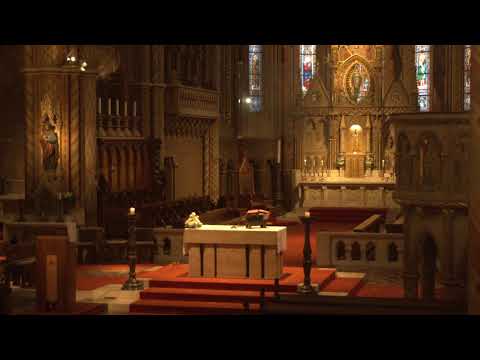 2025. november 28. (péntek) 7:00 Szentmise