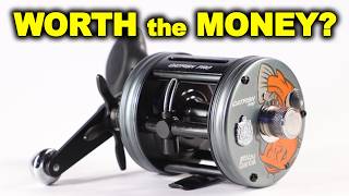 Cheap Reel vs Abu Garcia CATFISH PRO: Which Wins?