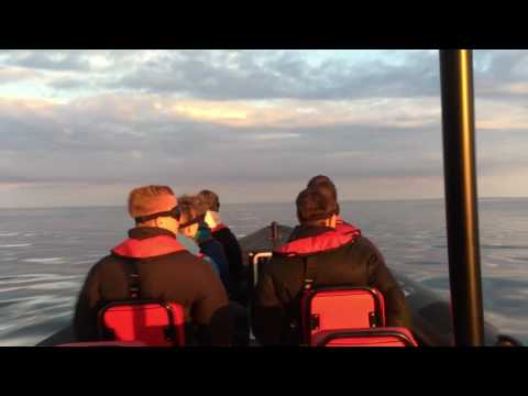 Speed-Schlauchboot Sunset Tour mit 700 PS