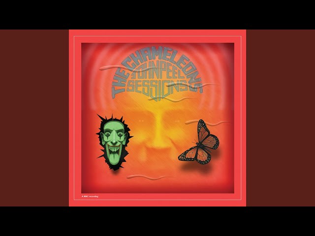 The Chameleons: La Historia de un Grupo Musical Legendario 