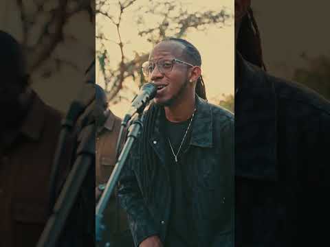 Director P, @kevinskaa - Belle (Short Video).