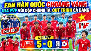 FAN HÀN QUỐC SỐC NẶNG! U14 PVF NGHIỀN NÁT ĐỐI THỦ, THẮNG 5-0 GÂY CHẤN ĐỘNG!