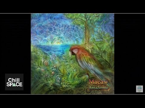 Macaw - Biologic | Chill Space