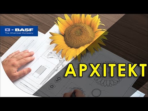 Архитект от BASF