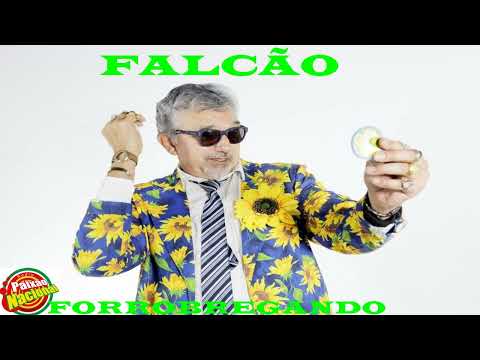 FALCAO O POVO FEIO