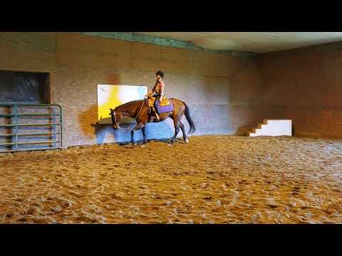 Class # 25 Western Pleasure WJL MiKayla Winter and Jackie O Vester