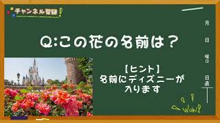 【ディズニークイズ】この花の名前は？《毎朝飯前クイズ！》