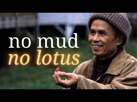 The Art of Suffering | Teaching by Thich Nhat Hanh | #mindfulness