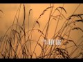 George Canyon - Wayfaring Stranger.wmv 
