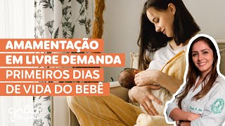 AMAMENTAÇÃO NOS PRIMEIROS DIAS DE VIDA DO BEBÊ🤱🏻 | Beabá Grão de Gente