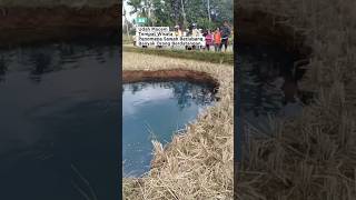 Download lagu Kondisi terkini fenomena alam yang terjadi di Situjuah 😱‼️#situjuah#tanahberlobang mp3