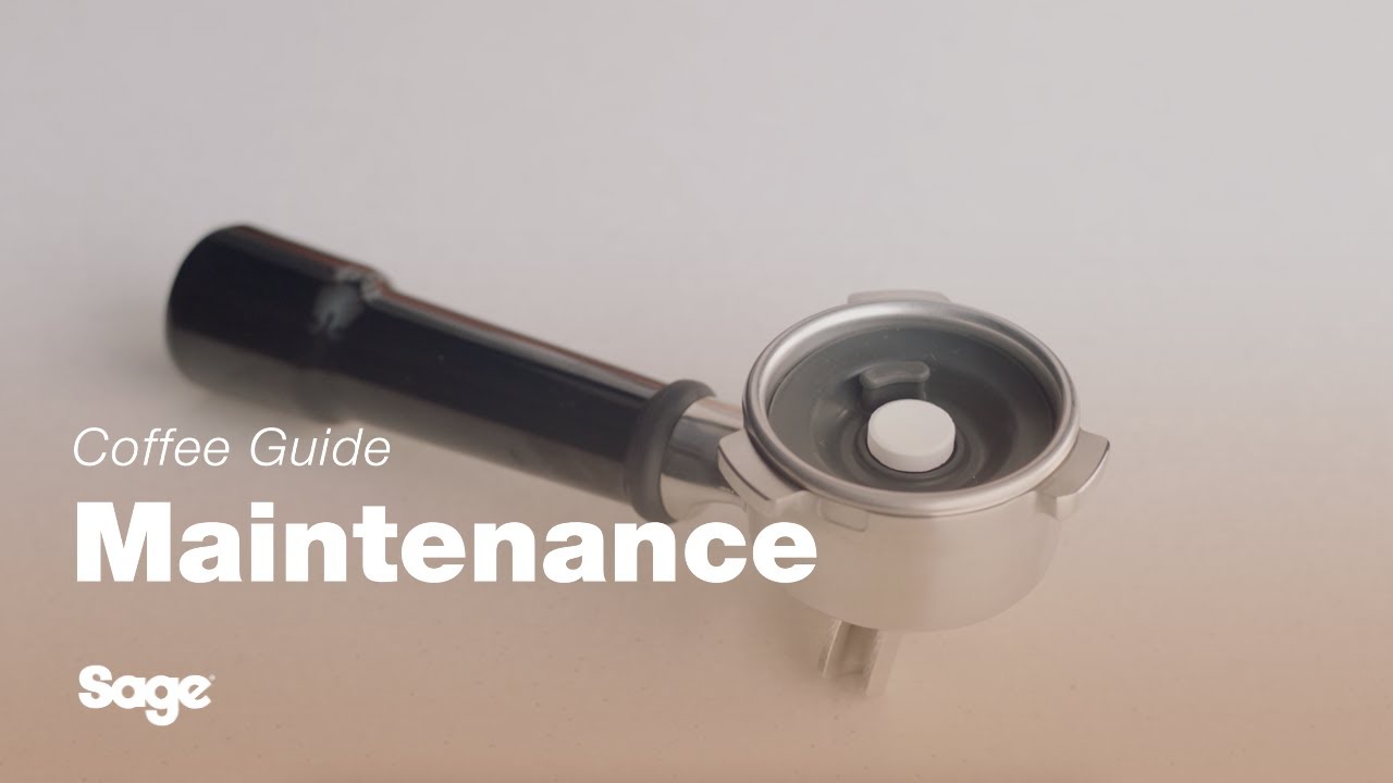 How to perform a cleaning cycle 