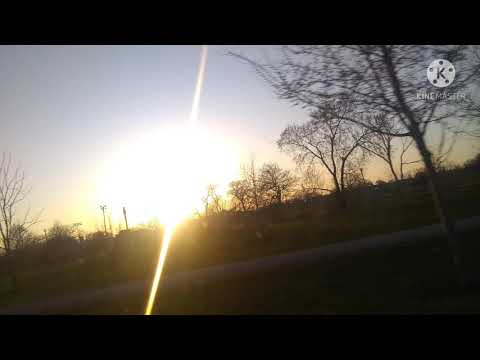 plvto.roadds - ELEVATION