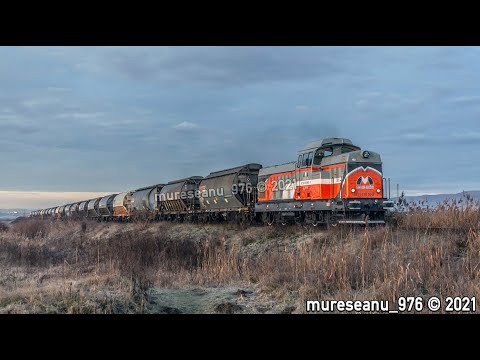 LDE125 69-0045-5 MMV RAIL ROMÂNIA - UREE KRONOSPAN / AZOMUREȘ