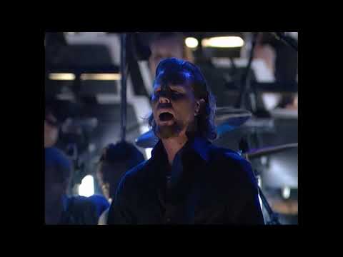 Metallica - The Memory Remains Live