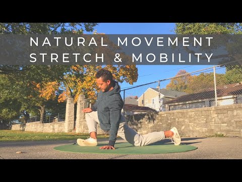 20-minute Daily Movement Practice | Stretch & Mobility