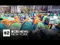 Protests at Columbia University showing no signs of dying down