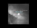 Only In My Dreams - Acoustic Alchemy