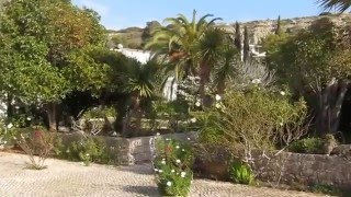 preview picture of video 'Casa da Figueira's tropical gardens in January.MOV'