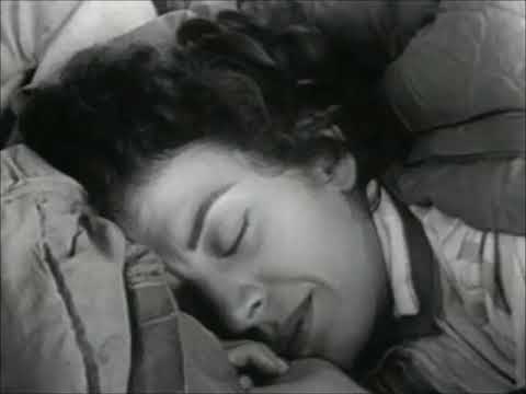 Insomnia by Marcia J  Pradzinski SD