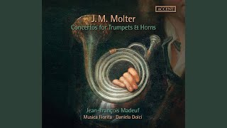 Trumpet Concerto No. 1 in D Major, MWV 4:12: I. Allegro