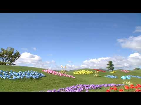 Field 19 Teletubbyland Shot