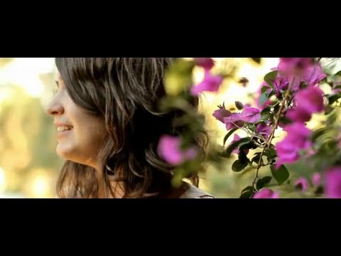 Summer's Daze   (feat. Tiffany Wilson) [Broadhook Official]