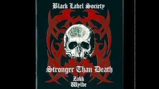 Black Label Society   13 Years Of Grief HD Audio