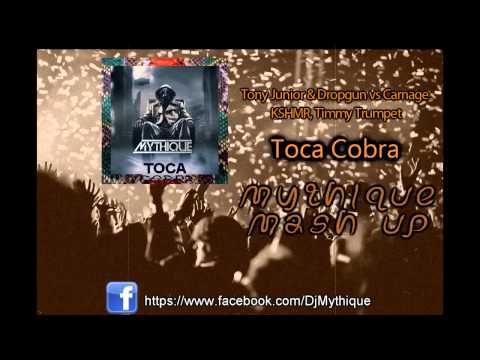 Tony Junior & Dropgun vs Carnage, KSHMR, Timmy Trumpet - Toca Cobra